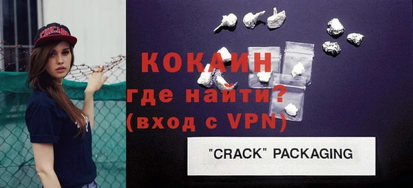 хмурый Аркадак