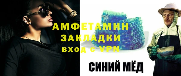 хмурый Аркадак