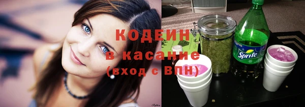 хмурый Аркадак
