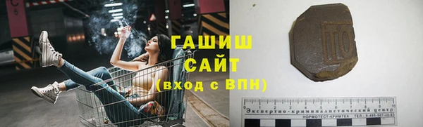 хмурый Аркадак