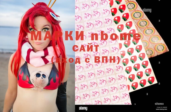 хмурый Аркадак