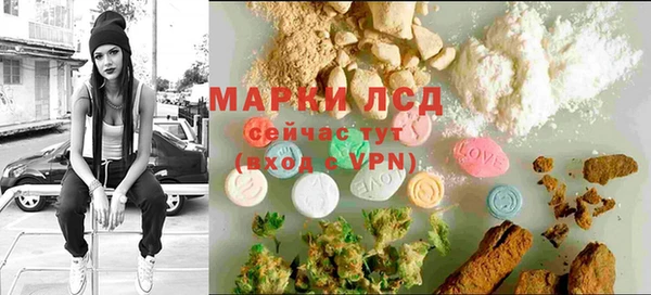 спайс Баксан