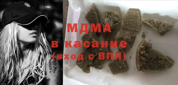 хмурый Аркадак
