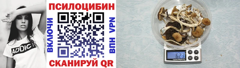 hydra вход  Свободный  Галлюциногенные грибы Psilocybine cubensis 